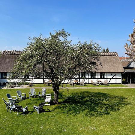 Kirsebaerkroen - The Inn Between Præstø Exteriör bild
